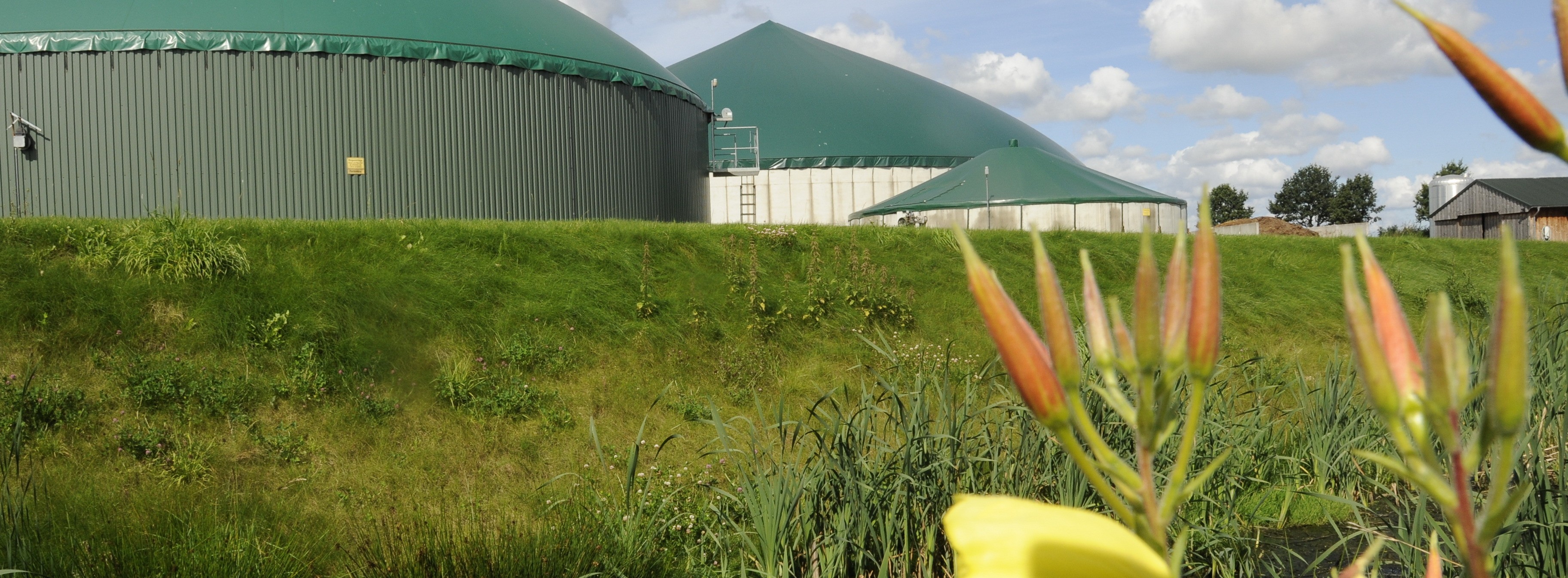 Energie & Management > BHKW - BHKW des Monats: Ganz schön flexibel