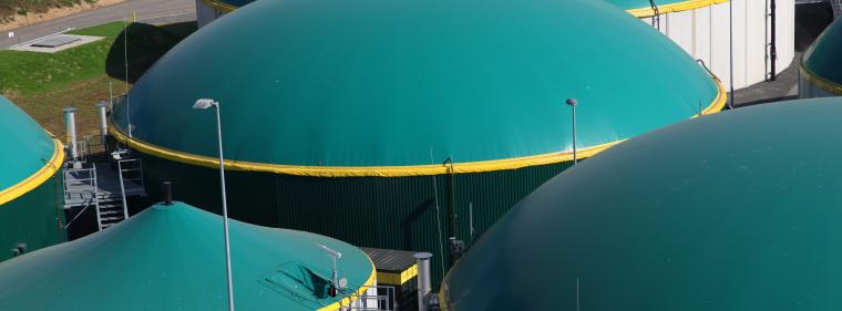 Energie & Management > Gas - Biomethanbranche hofft auf deutliche Steigerung