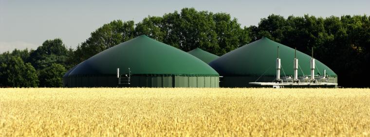 Energie & Management > Ökogasumfrage - Vor allem für Spezialisten