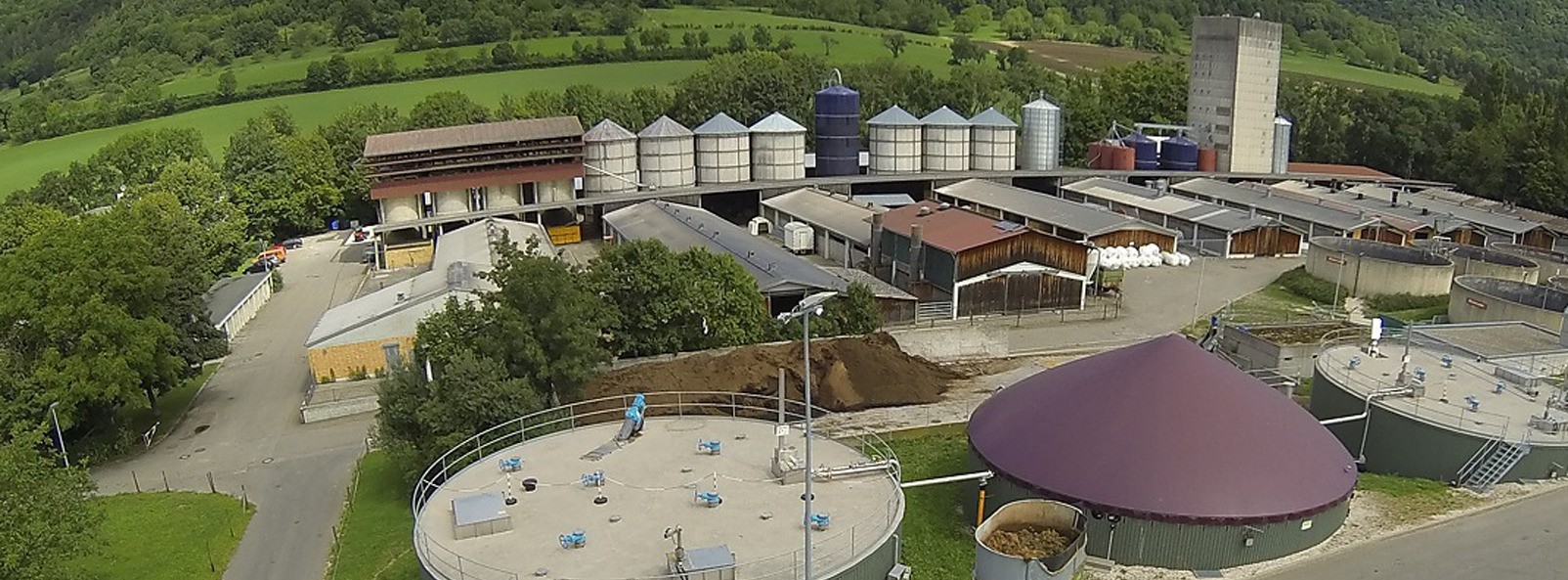 Energie & Management > Biogas - Bakterien füttern nach Plan