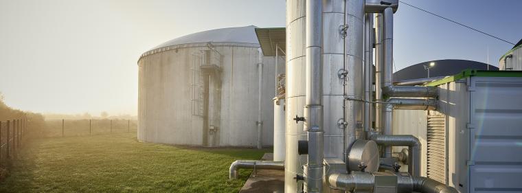 Energie & Management > Biogas - Zukauf gegen den Trend