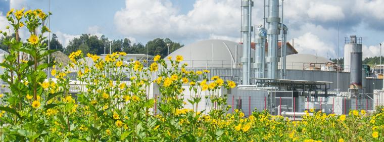 Energie & Management > Biogas - Erdgas Südwest-Tochter firmiert um