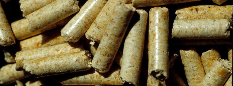 Energie & Management > Biomasse - Pellet-Rekord in Deutschland