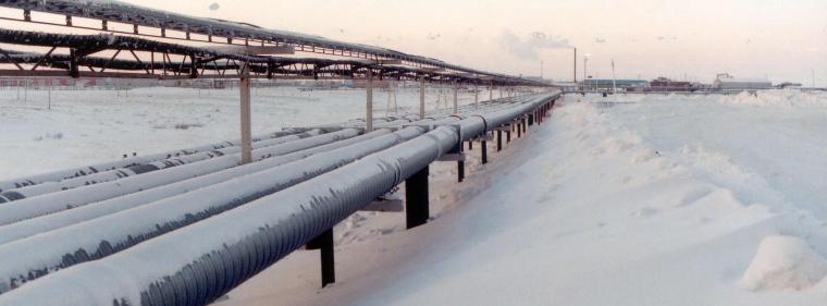 Energie & Management > Gas - Schröder: EU braucht Russland als Energiepartner