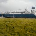 Energie & Management > Gas - Gasfin übernimmt kommerzielle Steuerung der LNG-Terminals der DET