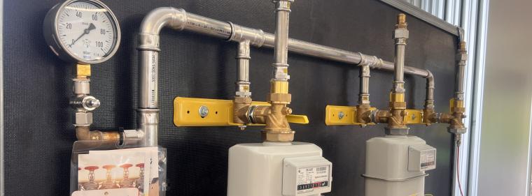 Energie & Management > Gas - Im Fokus: Erdgas, Biomethan und Wasserstoff