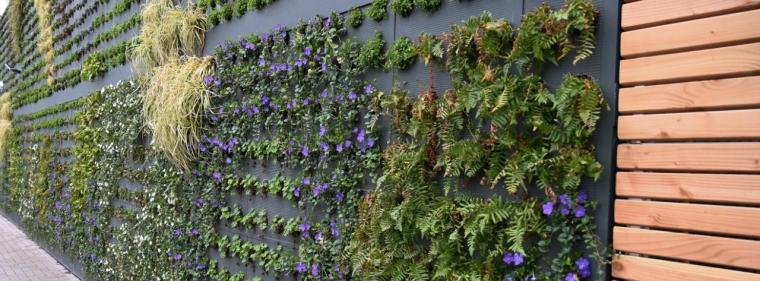 Energie & Management > Kooperation - Badenova plant weiteres Rechenzentrum in Südbaden