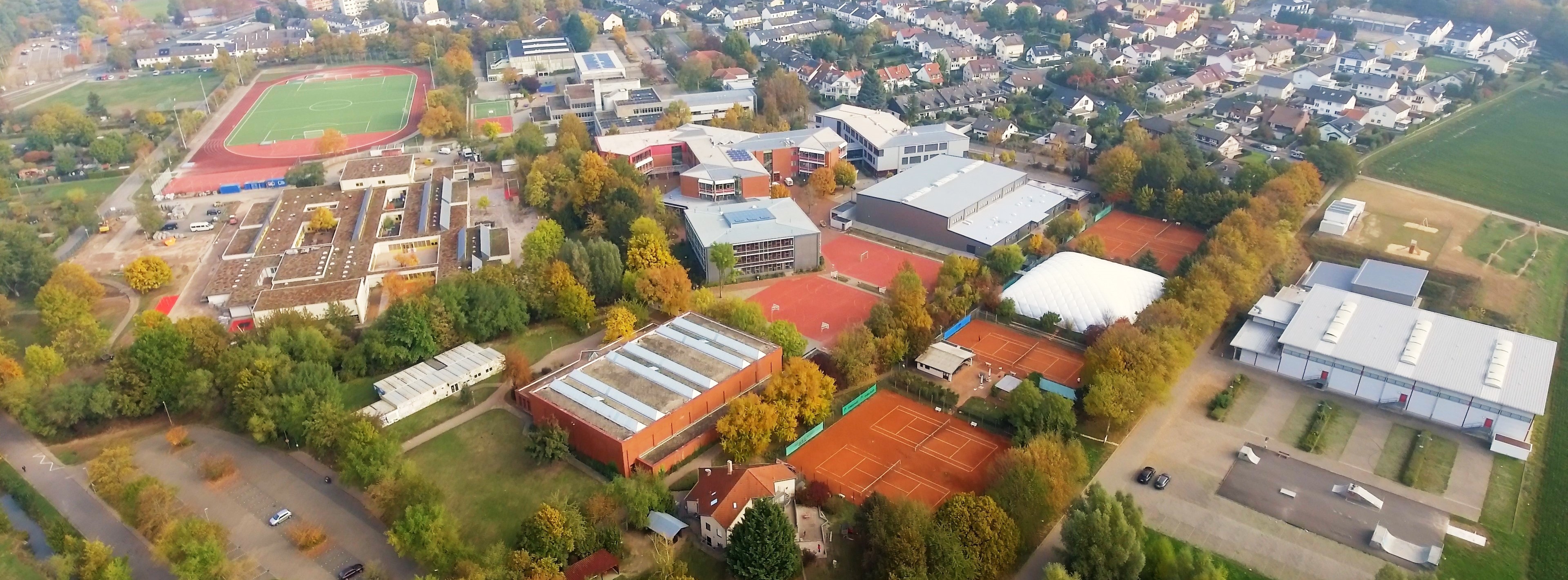 Energie & Management > Contracting - Effiziente Kopplung von KWK und Biomasse