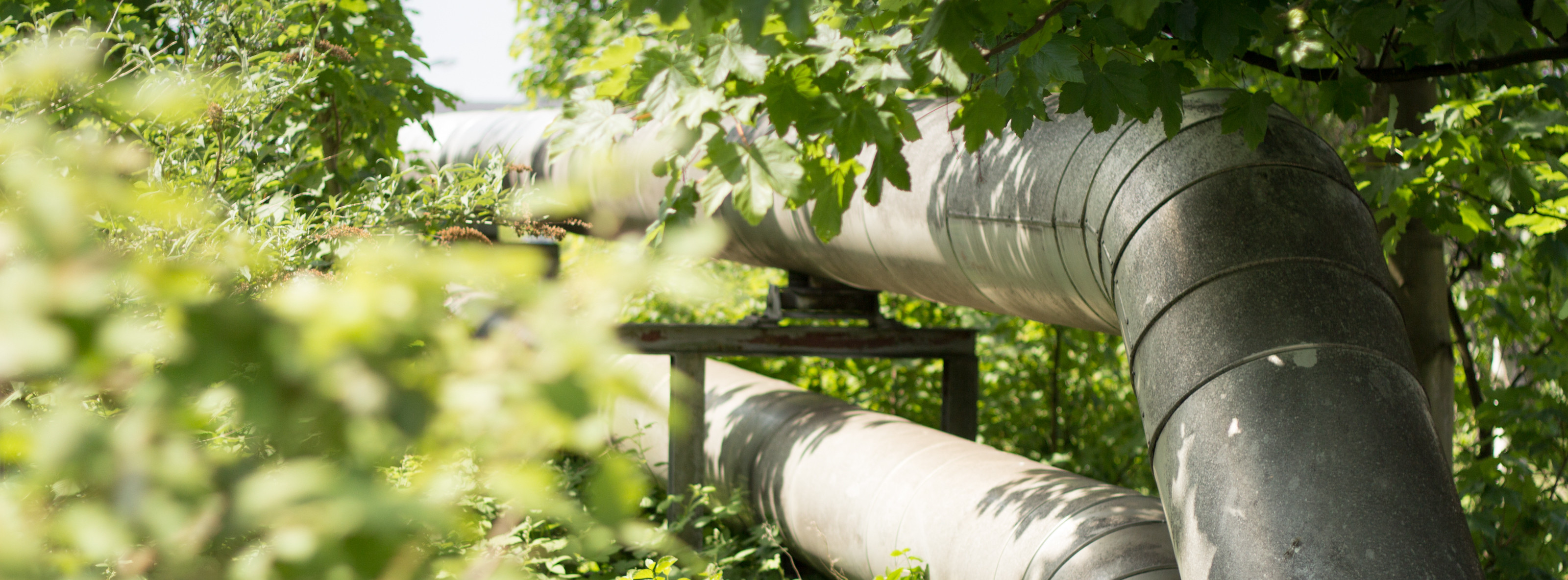Energie & Management > Wärmenetze - Steag Iqony kauft Unipers Fernwärme