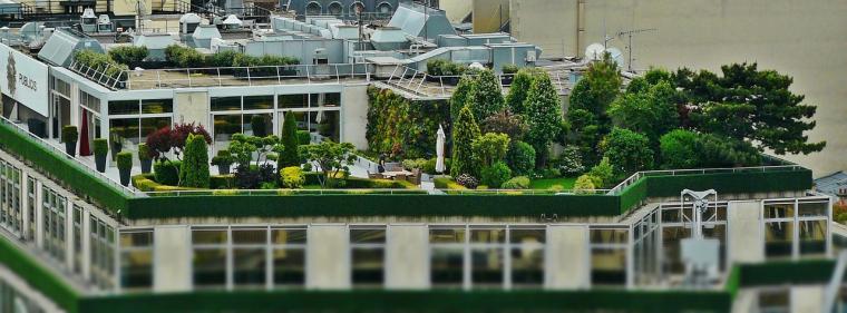 Energie & Management > Klimaschutz - Die grünen Dächer der Dax-Konzerne