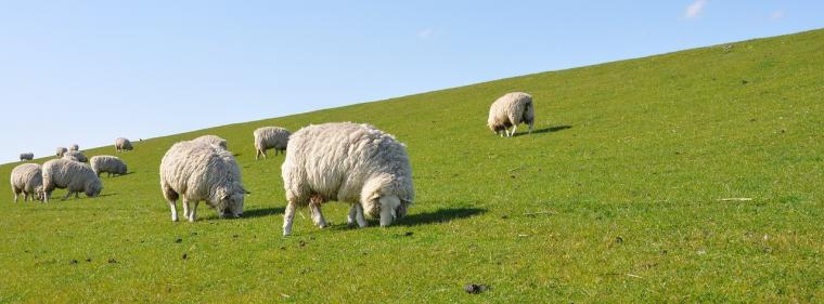 Energie & Management > Personalie - Gründungsgeschäftsführer verlässt Stadtwerke Nordfriesland