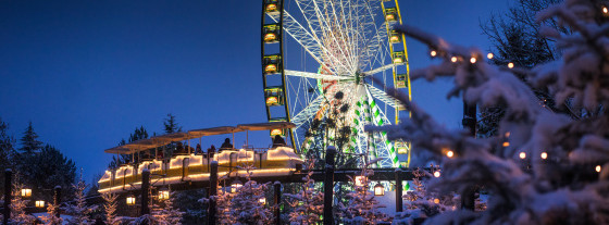 Energie & Management > Photovoltaik - Europa-Park Rust will 2024 energieautark sein 
