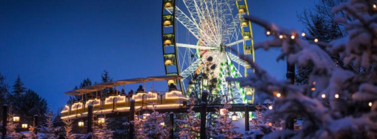 Energie & Management > Photovoltaik - Europa-Park Rust will 2024 energieautark sein 