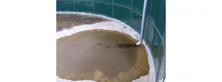 Energie & Management > Biogas - Zusätzliche Last für Gülle- und Abfallvergärung