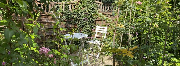 Energie & Management > Photovoltaik - Bundesregierung: Kein Klärungsbedarf bei PV-Anlagen in Kleingärten