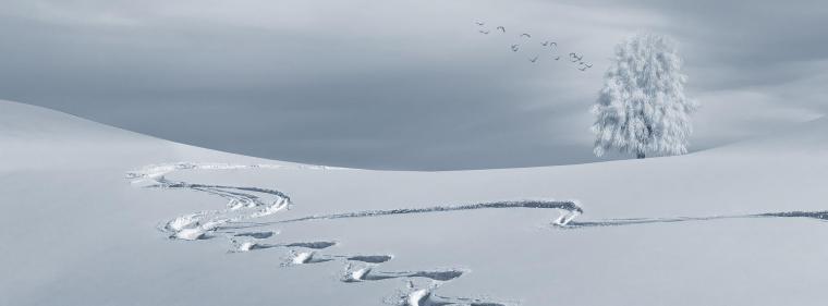 Energie & Management > Studie - Wird der Winter kalt, fehlen Europa 433 Mrd. kWh Gas 