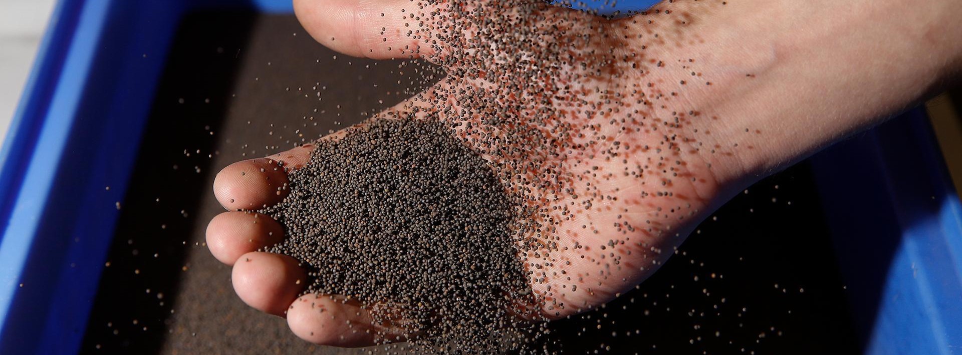 Energie & Management > F&E - Heiße Keramik für nachhaltige Nudeln