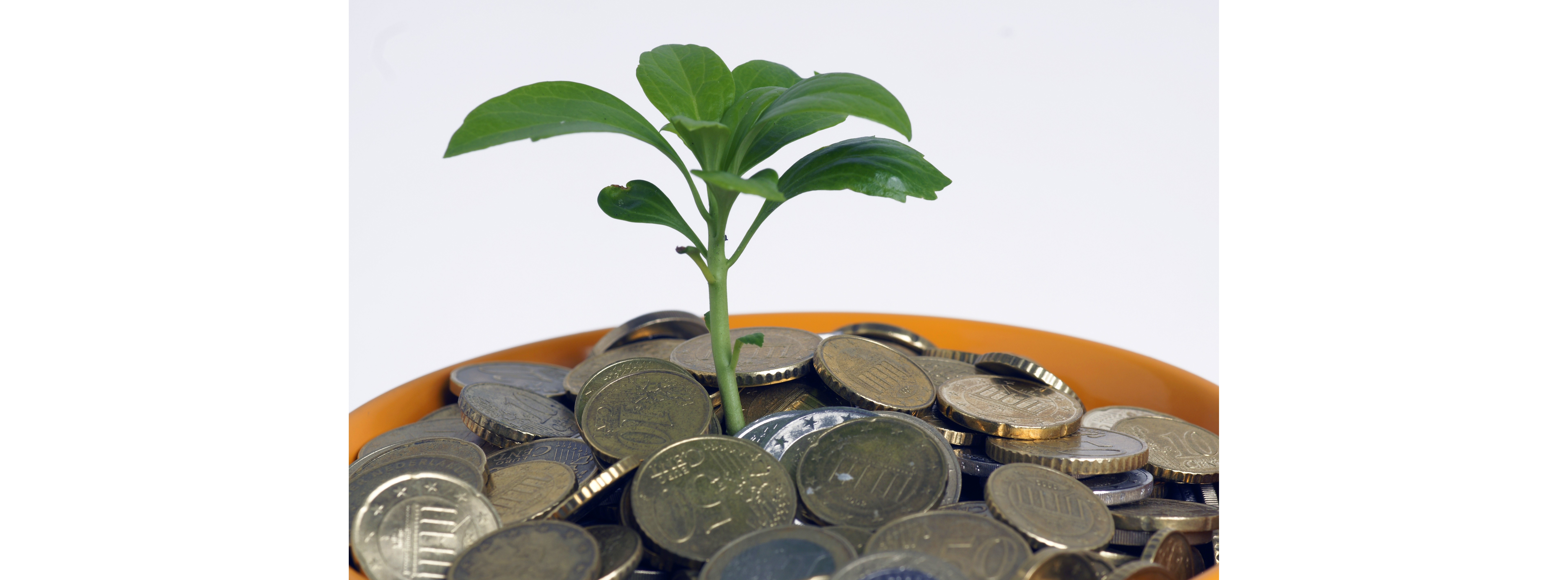 Energie & Management > Klimafinanzierung - Falsches Signal vom Grünen Klimafonds