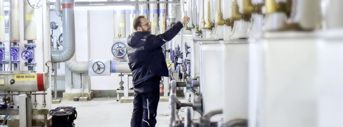 Energie & Management > Advertorial  - Energie sparen und CO2 reduzieren mit hydraulischem Abgleich