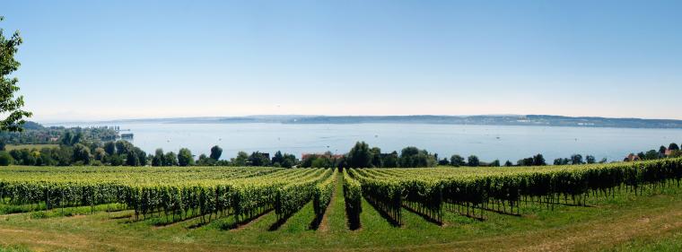 Energie & Management > Netze - Hagnau regelt Stromkonzession neu