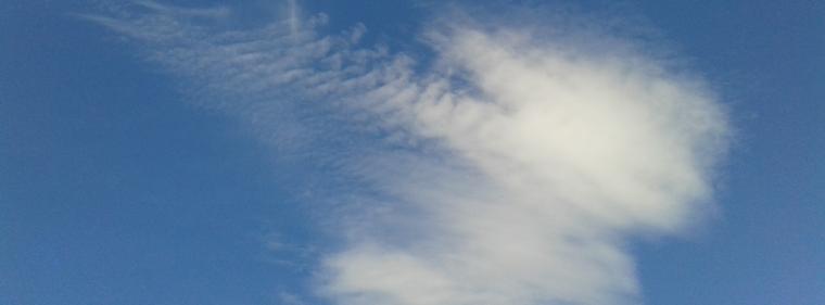 Energie & Management > IT - Heiter und cloudy