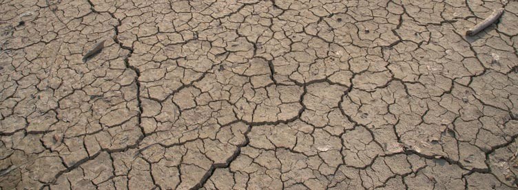 Energie & Management > Un-Klimagipfel - Wetterextreme brechen alle Rekorde