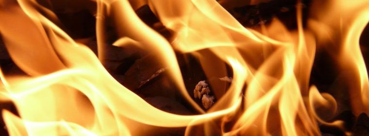 Energie & Management > Regenerative - Immer mehr Klärschlamm wird verbrannt