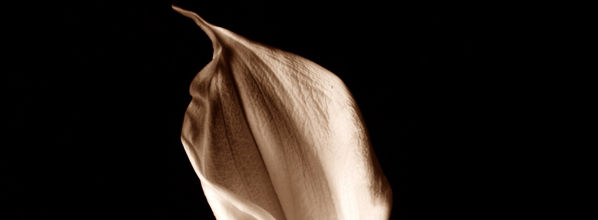 Energie & Management > Personalie - Ex-Eon-Chef Hartmann verstorben