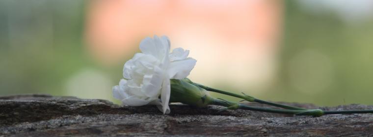 Energie & Management > Personalie - Ex-Stadtwerkechef Dahm ist verstorben