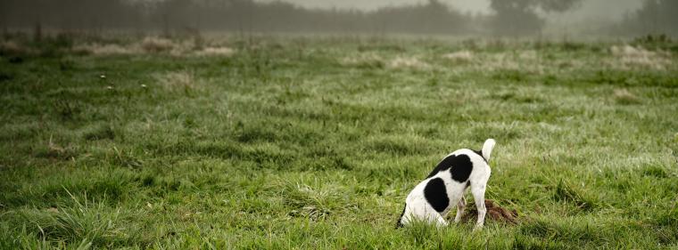 Energie & Management > Geothermie - Badenova präzisiert Standortsuche für Tiefengeothermie-Bohrung