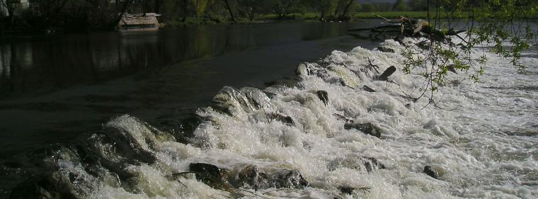 Energie & Management > Stromnetze - Extremwetterlagen führten zu höheren Ausfallzeiten