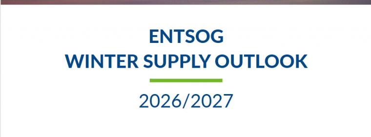 Energie & Management > Gasversorgung - Für den kommenden Winter zählt jedes Molekül