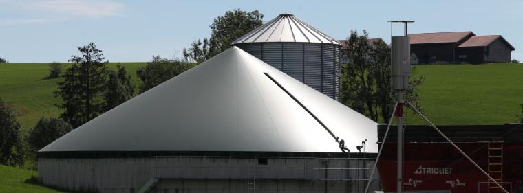 Energie & Management > Regenerative - Regelenergievermarktung für Biogasanlagen