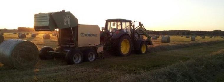 Energie & Management > Biomasse - Niedermoor-Gewächse versorgen Malchin mit Wärme