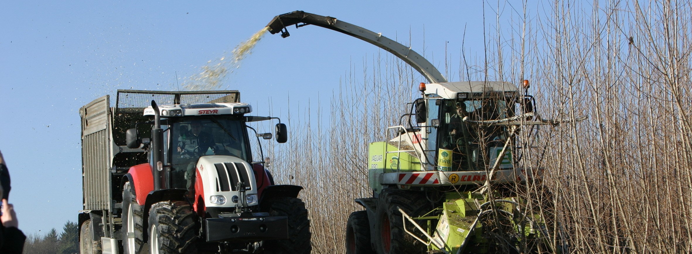 Energie & Management > Interview - Grundmann: Energieholzanbau als Hedging-Instrument