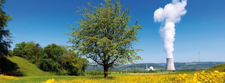 Energie & Management > Kernkraft - Schweizer Atomaufsicht in der Kritik