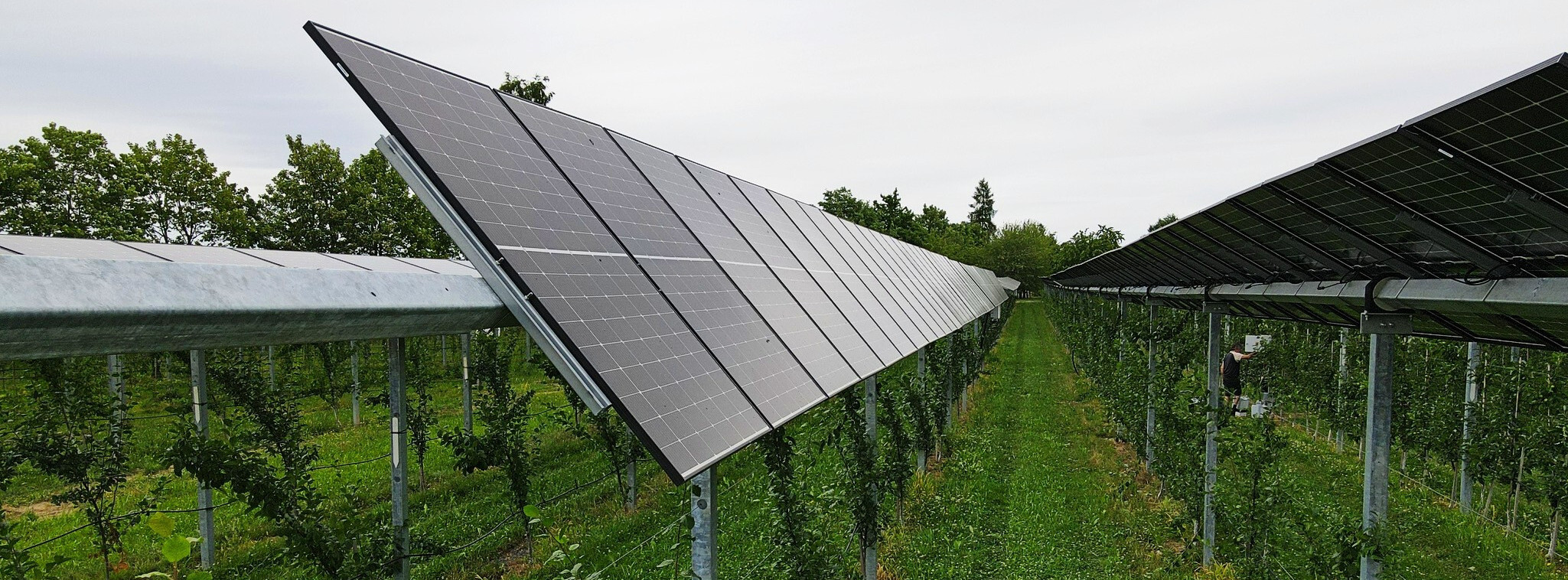 Energie & Management > Photovoltaik - Fraunhofer-Ausgründung bringt Solartechnik aufs Feld