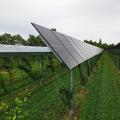 Energie & Management > Photovoltaik - Fraunhofer-Ausgründung bringt Solartechnik aufs Feld