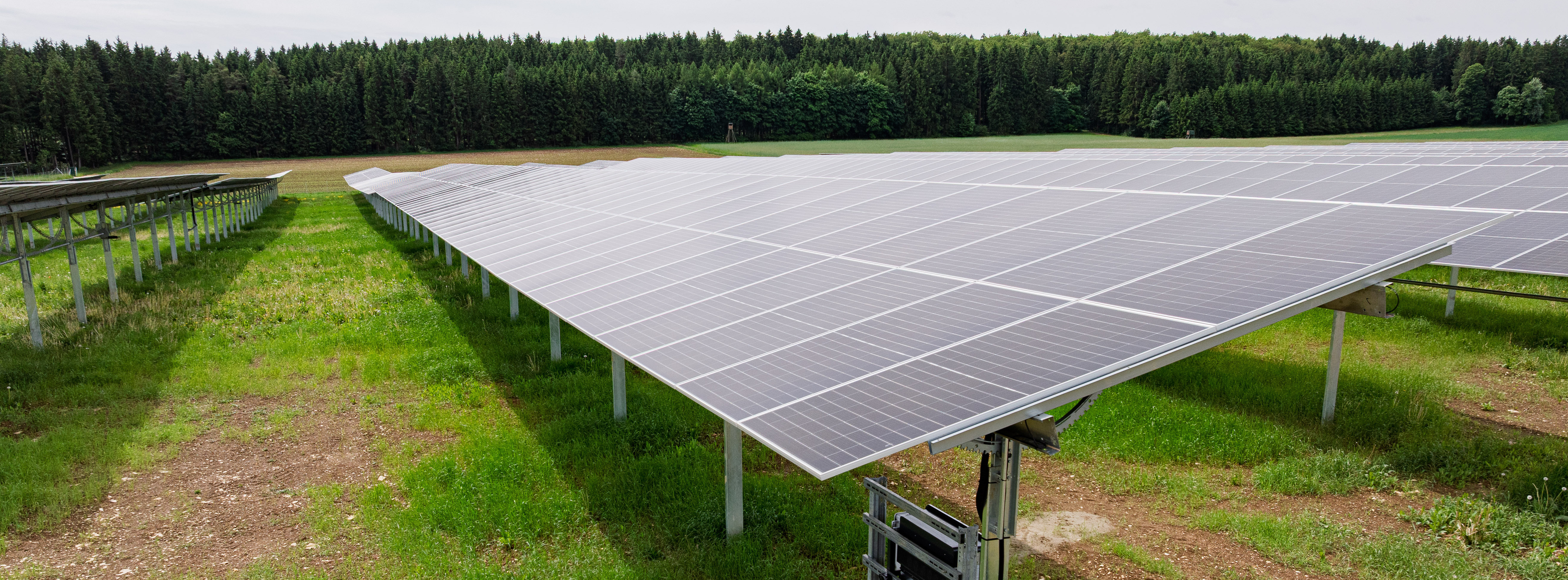 Energie & Management > Photovoltaik - IBC Solar realisiert erste Agri-PV-Anlage mit Trackern