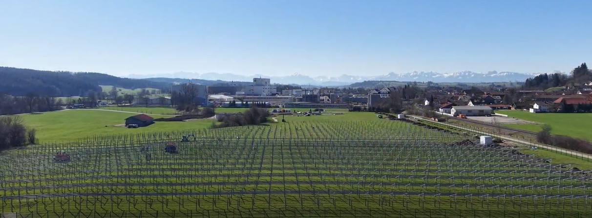 Energie & Management > Photovoltaik - Agri-PV geht auch ohne Subventionen