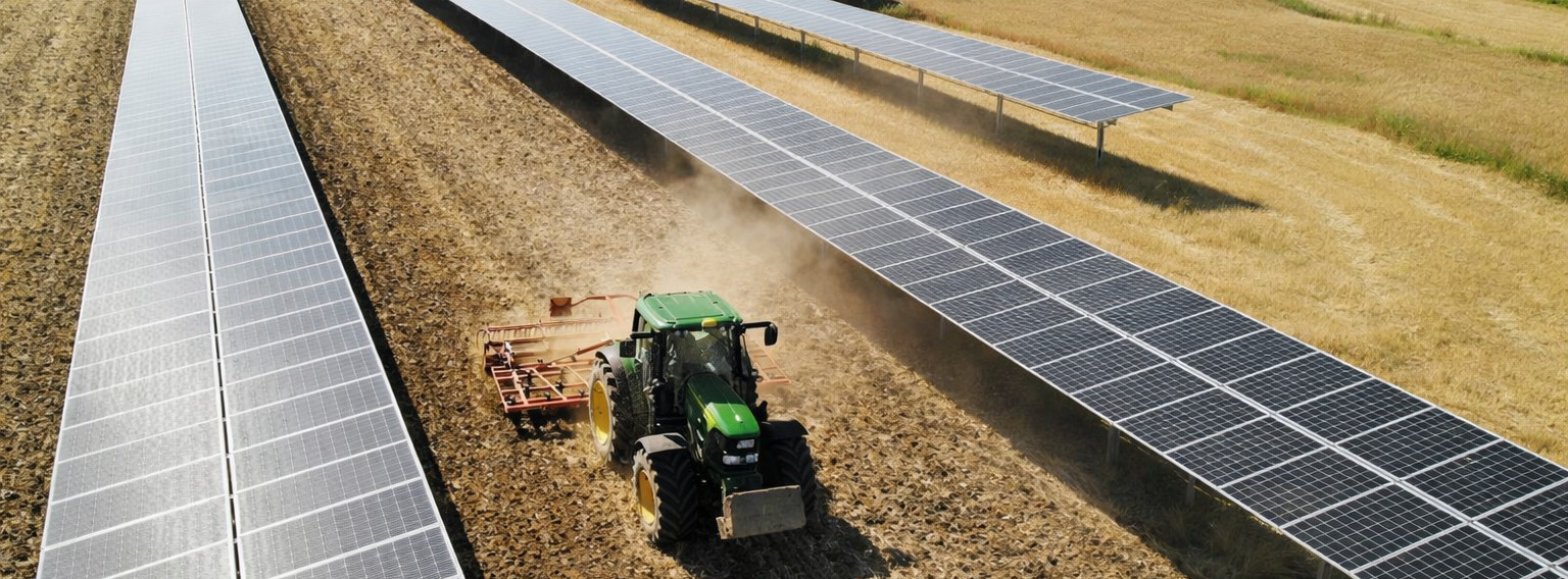 Energie & Management > Photovoltaik - Feldwerke sichert Kreditlinie für Agri-PV-Projekte