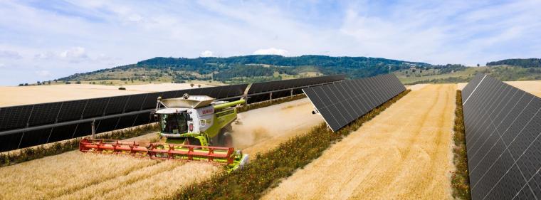 Energie & Management > Regenerative Energien - Solarparks in Spanien sollen Velux klimaneutral machen