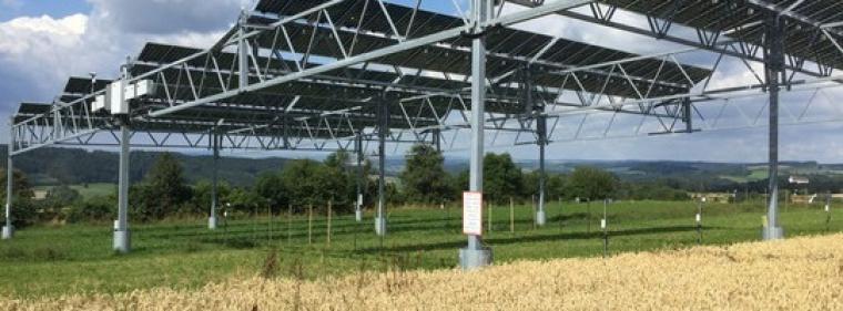 Energie & Management > Photovoltaik - Landwirte und Stadtwerke planen Agri-PV-Anlage