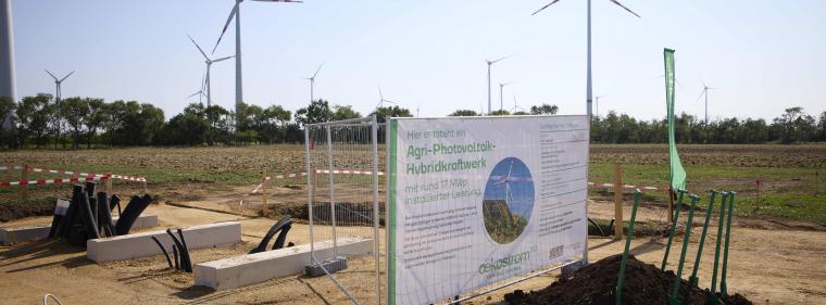 Energie & Management > Photovoltaik - Grenzüberschreitende Kooperation auf dem Acker