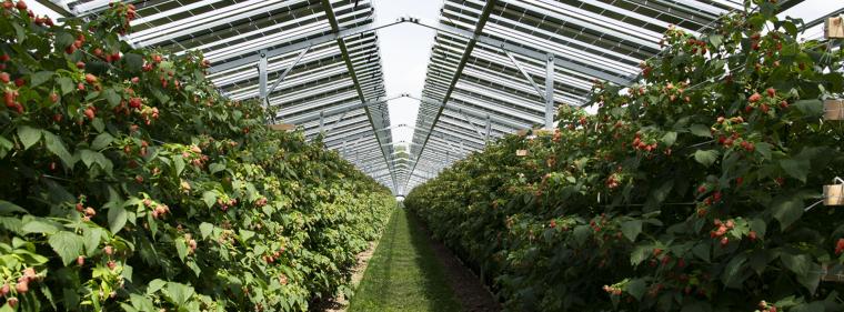 Energie & Management > Photovoltaik - 