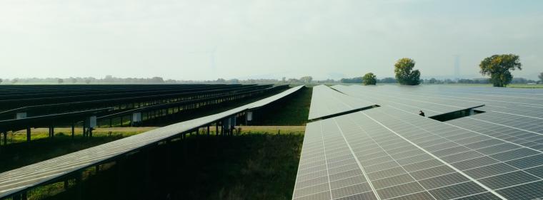 Energie & Management > Photovoltaik - Eprimo finanziert PV-Park mit Zukunftscent