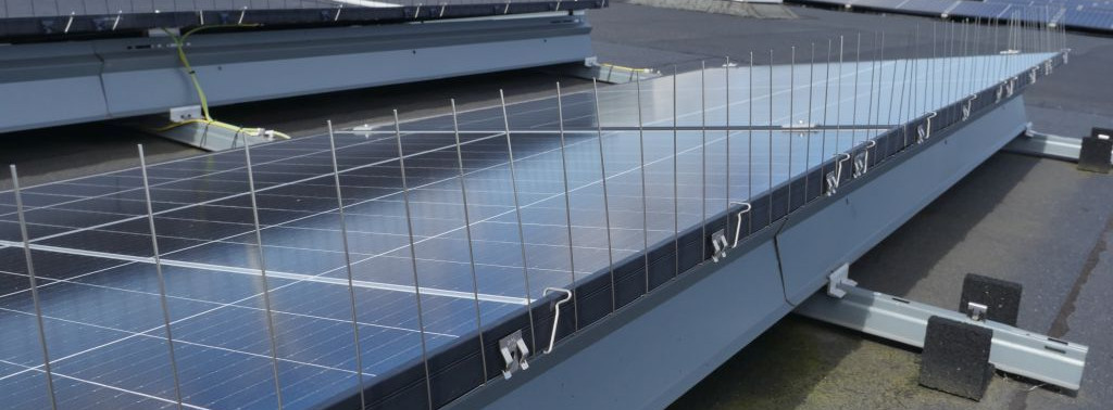 Energie & Management > Photovoltaik - Schutz vor Vogelkot soll Ertragsverluste mindern