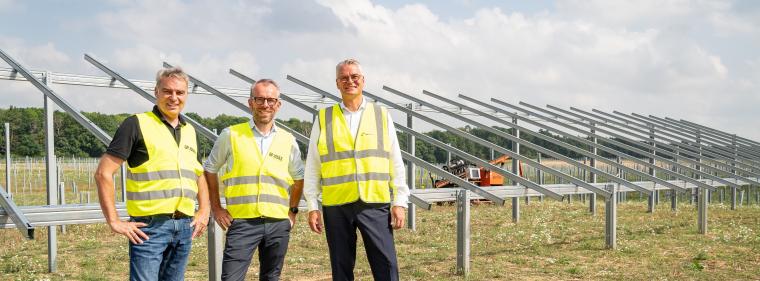 Energie & Management > Photovoltaik - Solarparkstrom wird über PPA direkt vermarktet