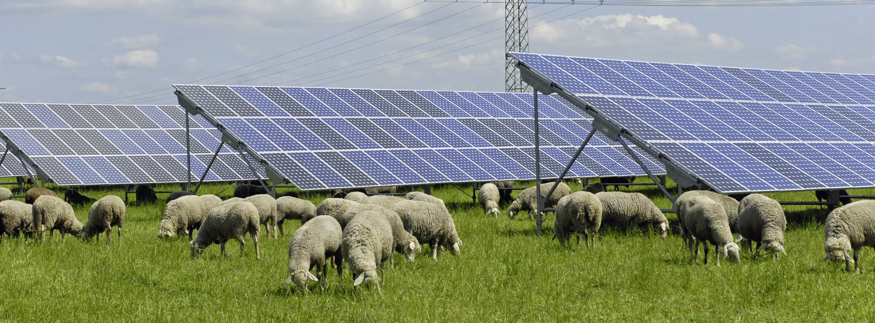 Energie & Management > Regnerative - Photovoltaik-Zubau in Bayern weiter auf hohem Niveau