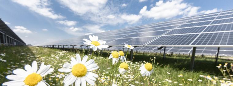 Energie & Management > Regenerative Energien - Firmen setzen beim Erreichen der Klimaziele auf PPA